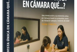 ¿ENTREVISTA ÚNICA EN CÁMARA QUÉ…? Una introducción a la entrevista única en Cámara Gesell Teoría y práctica