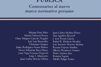 CONTRATACIÓN PÚBLICA