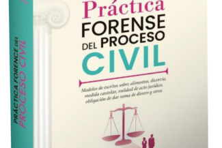 PRÁCTICA FORENCE DEL PROCESO CIVIL