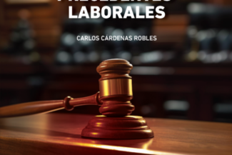 MANUAL DE PRECEDENTES LABORALES