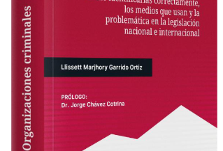 ORGANIZACIONES CRIMINALES