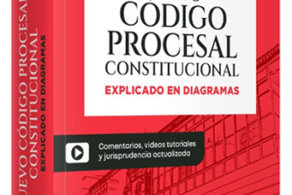 NUEVO CÓDIGO PROCESAL CONSTITUCIONAL EXPLICADO EN DIAGRAMAS