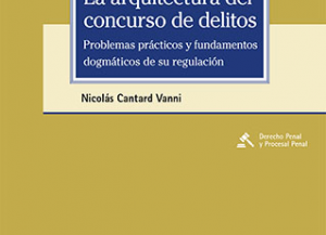 LA ARQUITECTURA DEL CONCURSO DE DELITOS