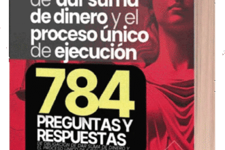 GUÍA PRACTICA OBLIGACIÓN DE DAR SUMA DE DINERO Y EL PROCESO ÚNICO DE EJECUCIÓN