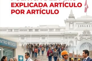 LA CONSTITUCIÓN POLÍTICA DEL PERÚ EXPLICADA ARTÍCULO POR ARTÍCULO