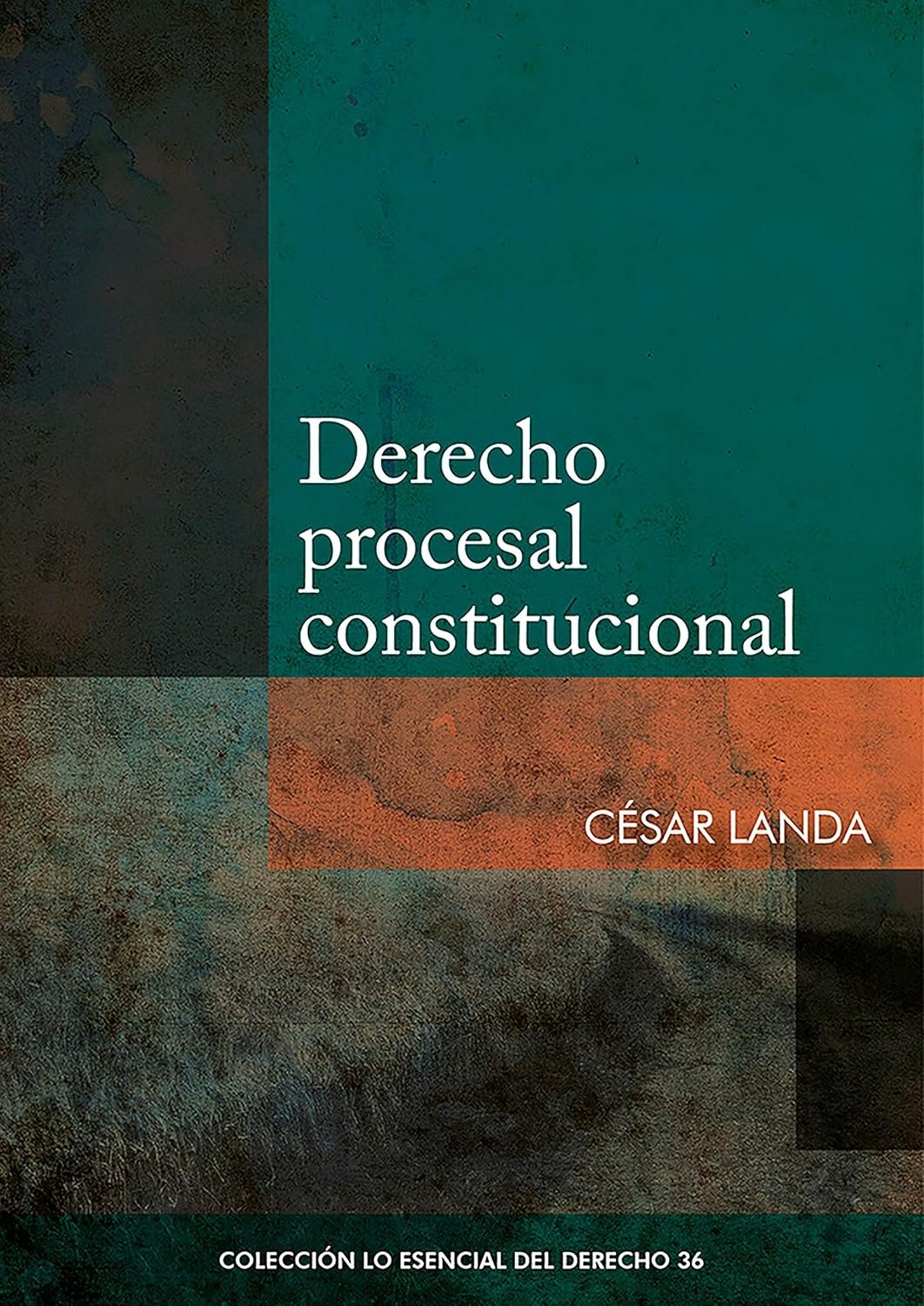 91Z8cQGfTNL._SL1500_ DERECHO PROCESAL CONSTITUCIONAL - Imagen 1