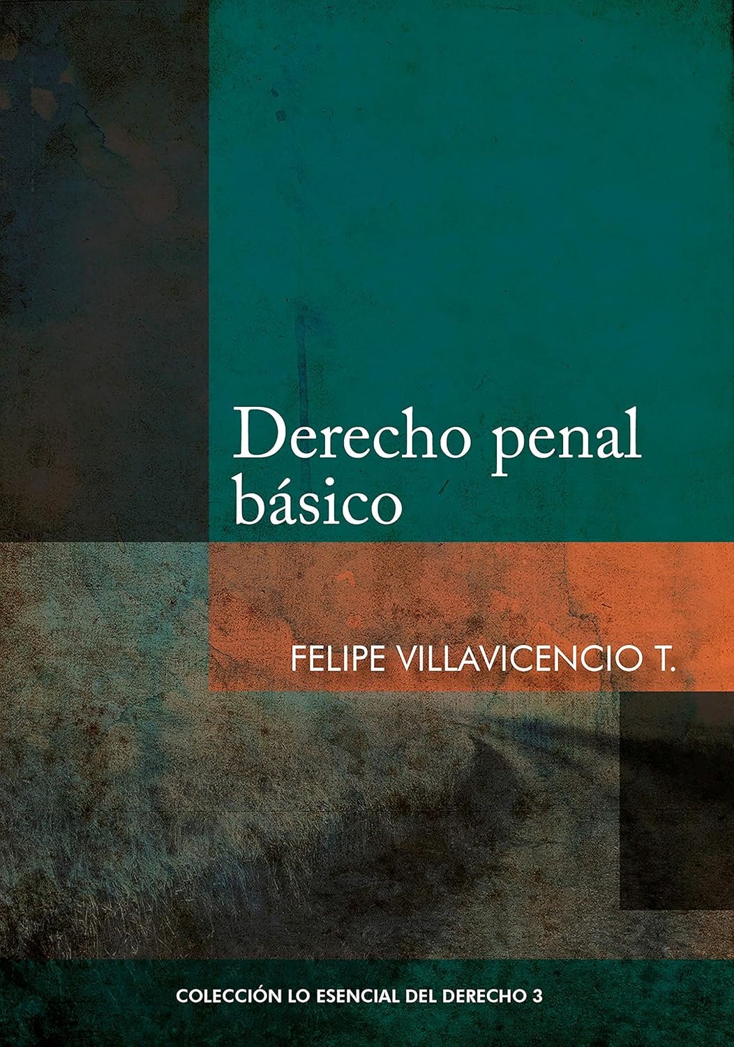 91zaySBKltL._SL1500_ DERECHO PENAL BÁSICO - Imagen 1
