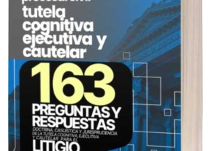 GUÍA PRÁCTICA MANUAL DE DERECHO PROCESAL CIVIL TUTELA COGNITIVA EJECUTIVA Y CAUTELAR