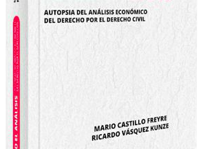 ANALIZANDO EL ANÁLISIS