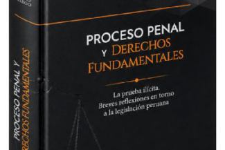 PROCESO PENAL Y DERECHOS FUNDAMENTALES LA PRUEBA ILÍCITA