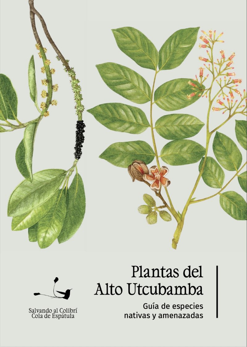 155756 PLANTAS DEL ALTO UTCUBAMBA - Imagen 1