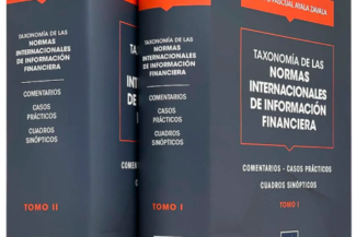 TAXONOMIA DE LAS NORMAS INTERNACIONALES DE INFORMACIÓN FINANCIERA. 2 TOMOS