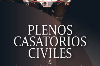 PLENOS CASATORIOS CIVILES & PLENOS JURISDICCIONALES NACIONALES