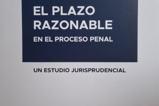 EL PLAZO RAZONABLE EN EL PROCESO PENAL