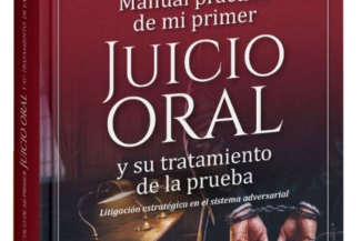 MANUAL PRÁCTICO DE MI PRIMER JUICIO ORAL Y SU TRATAMIENTO DE LA PRUEBA