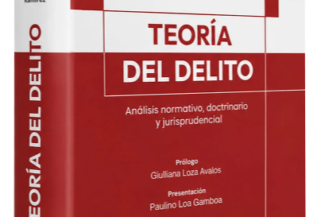 TEORÍA DEL DELITO