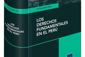 LOS DERECHOS FUNDAMENTALES EN EL PERÚ